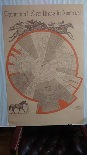 Prominent sire lines - sire,