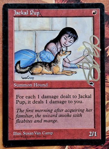Mtg tempest jackal - pup, signed