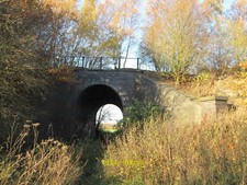 Photo 6x4 Bridleway under the