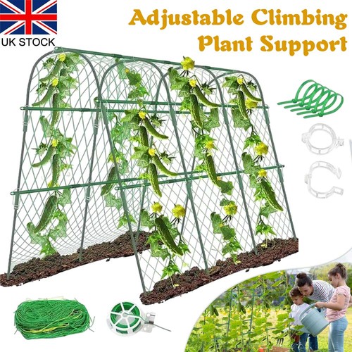 Shape garden cucumber - u-shape,