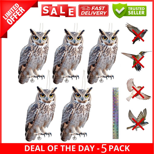 5pcs owl bird scarer set - bird,