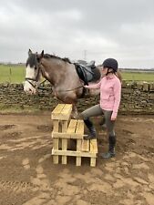 equestrian 3 Step mounting