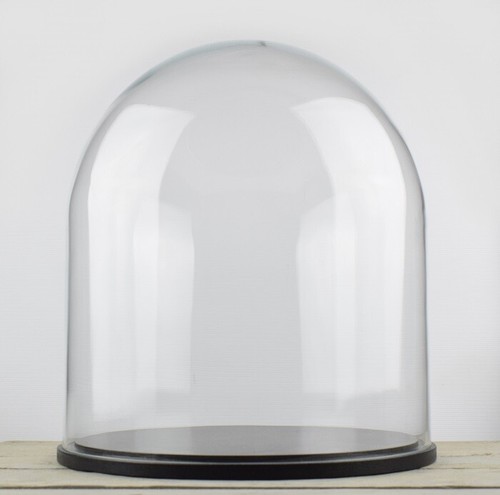 Large glass dome - glass,