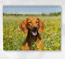 Hungarian Vizsla Calendar 2026: Monthly Wall Calendar with Notes, opens to A3