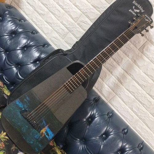 Blackbird rider carbon fiber - rider,