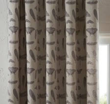 Grey Dunelm Natural History