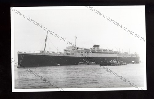 Lp1442 white star line - lp1442,