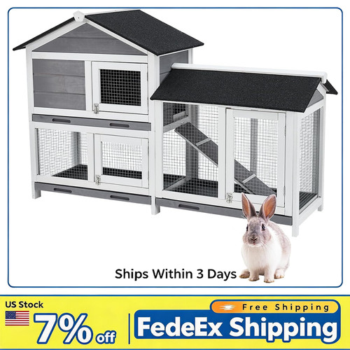 Tier indoor rabbit - tier,