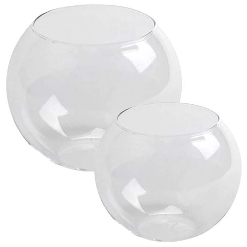 Glass goldfish bowl - goldfish, fish
