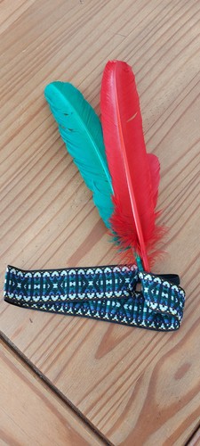 Native american feathered - native,