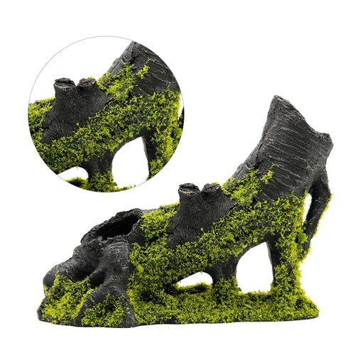 Tree roots sink into - ,