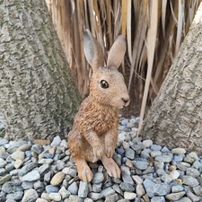 Vivid Arts Young Standing Hare