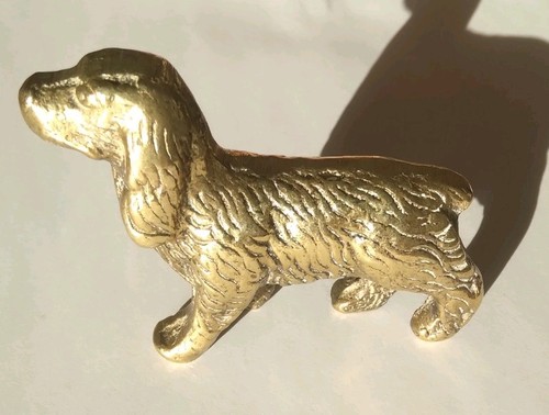 Brass springer spaniel - brass,
