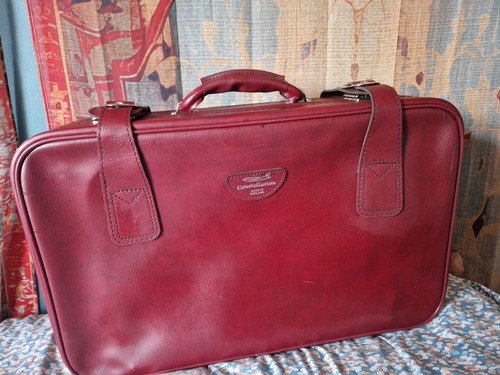 Vintage red travel case - vintage,