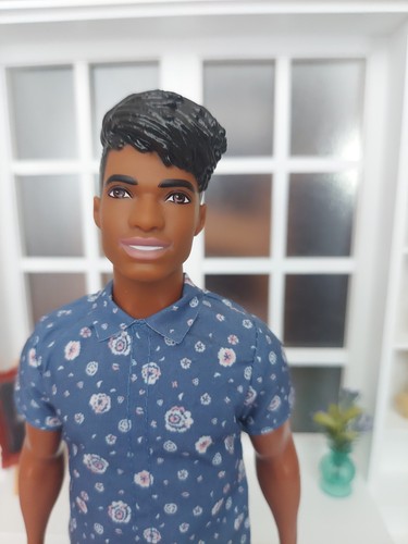 Barbie fashionistas ken 114 - barbie,