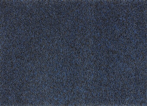Turtle mat dirt - turtle,