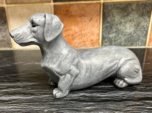 Blue grey dachshund - grey, dog