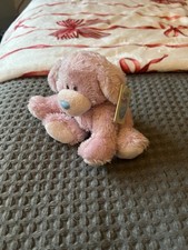 My Blue Nose Friend Pink Tatty