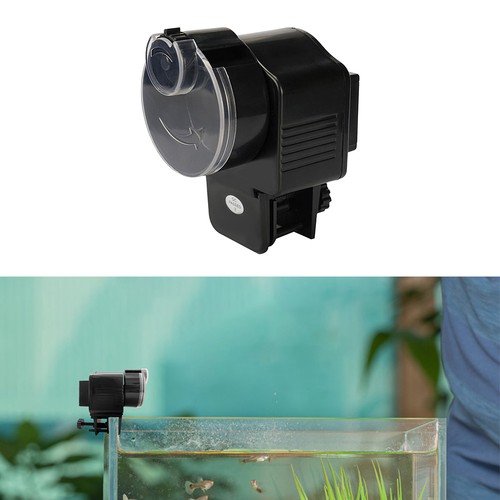 Automatic fish feeder - fish, aquarium