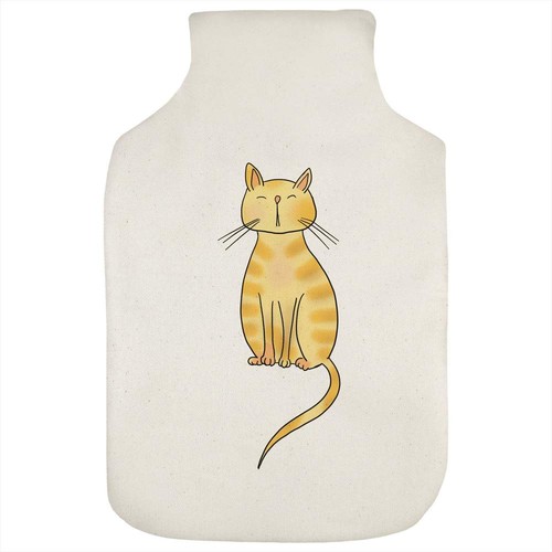 Ginger cat hot - water, bottle