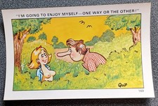 Vintage Saucy Seaside Postcard