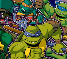 TMNT Teenage Mutant Ninja