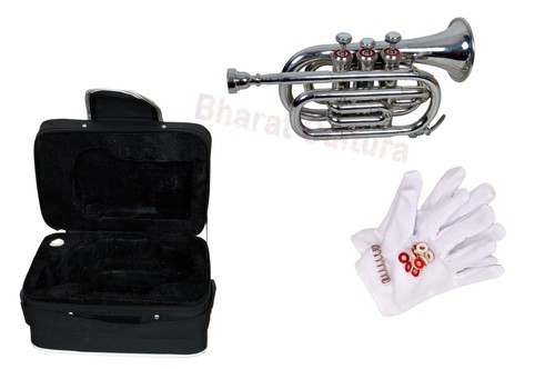 Professional classical - professional,