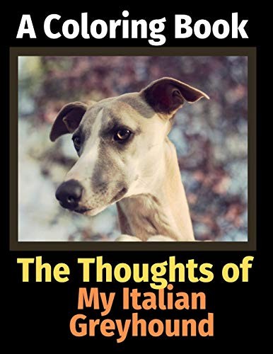 The thoughts of my italian - of,