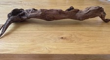 Med/Large Ancient Root  Wood