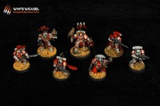 Warhammer 40K – White Scars Space Marines – Pro Painted by White Weasel Studio