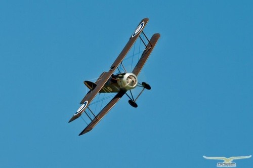 Sopwith camel 56in scale - camel,