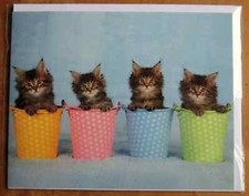 TABBY CAT KITTENS POLKA DOT