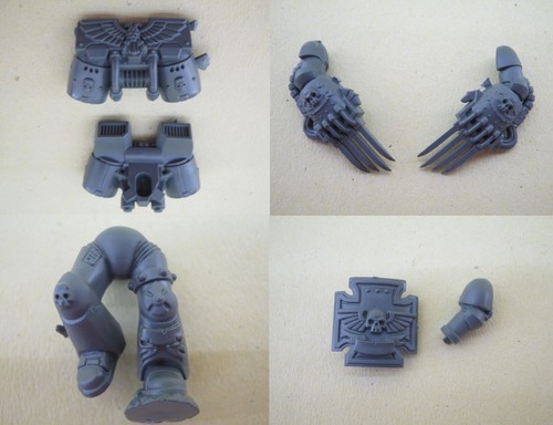 Space marine vanguard - space,