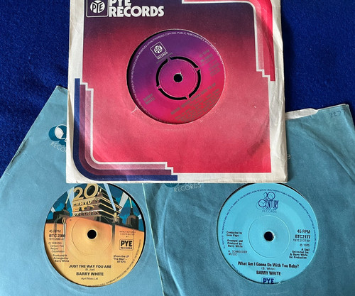 Job lot barry white - white,