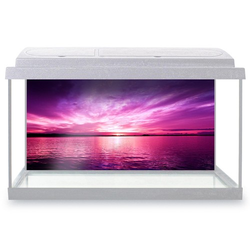 Fish tank background purple - background,