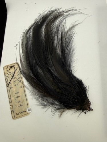Vintage bird paradise tail - paradise,