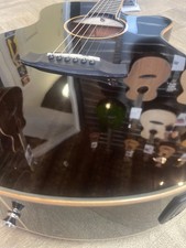 Tanglewood Winterleaf Series -