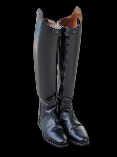 Petrie elegance anky dressage - petrie,