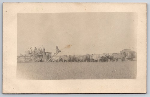 Grass valley oregon - grass,