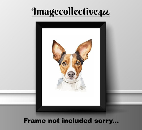 Fox terrier dog pet - fox,
