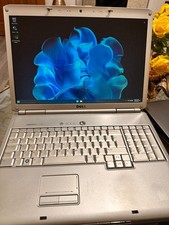 Dell 1720 Inspiron 17" screen