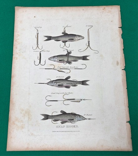 Antique 1801 snap - 1801,