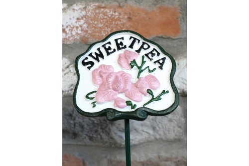 Garden flower sign sweet - flower,
