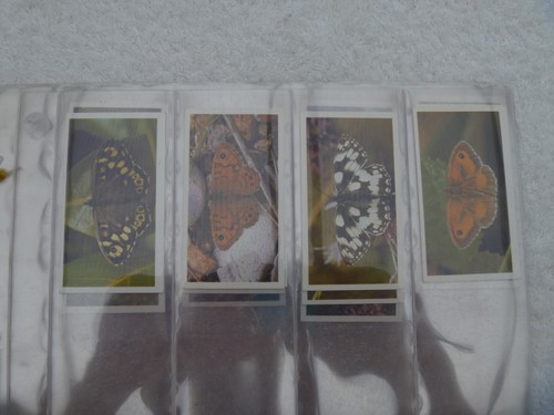 Grandee cigarette cards - grandee,