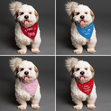 PERSONALISED Dog Bandana With