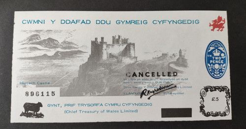 Welsh black sheep five - sheep,