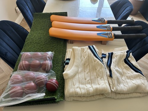 Cricket lunch decorations - cricket,