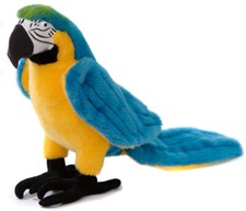 Macaw - Blue & Yellow by Kosen