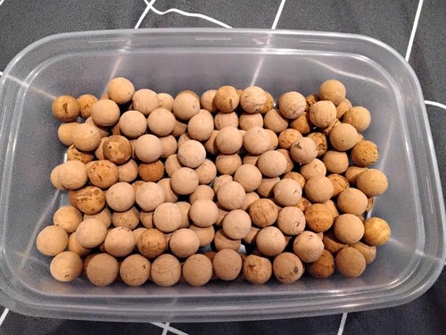 12mm cork balls - cork, carp