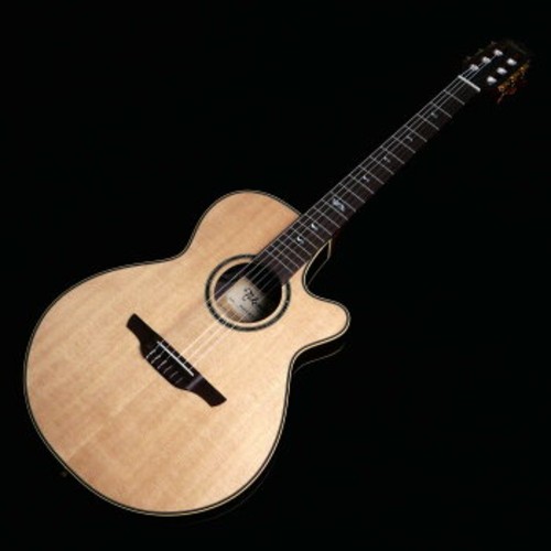 Takamine tsp10ncs thinline - takamine,
